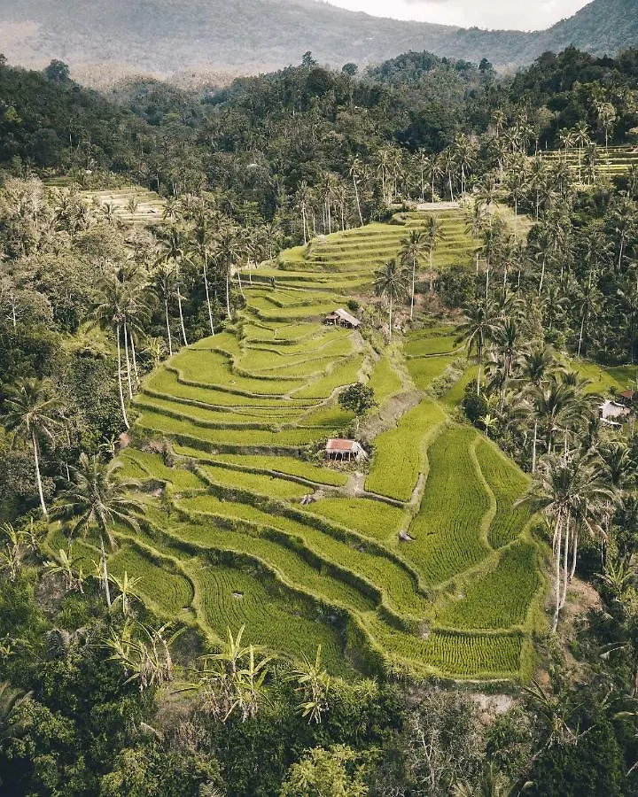Bali Bio Villas Uluwatu Gasthuis